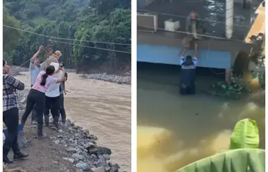 VIDEO | ¡Héroes Sin Capa! Civiles y Protección Civil rescatan perritos en inundaciones