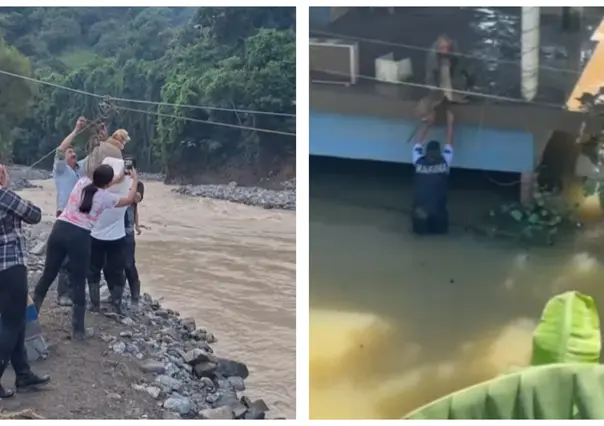 VIDEO | ¡Héroes Sin Capa! Civiles y Protección Civil rescatan perritos en inundaciones