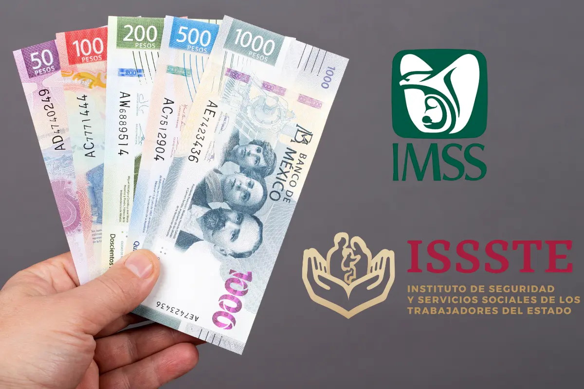 Pensión IMSS e ISSSTE: ¿Quiénes recibirán el aguinaldo en noviembre?. Foto: Canva | IMSS | ISSSTE