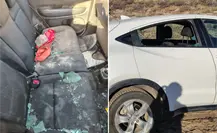 Ciudadanas suben al cerro de El Tecolote y al bajar encuentran sus autos destrozados