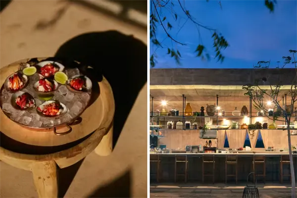 Tenoch: el restaurante de Todos Santos que conquistó a la Guía Michelin 2025