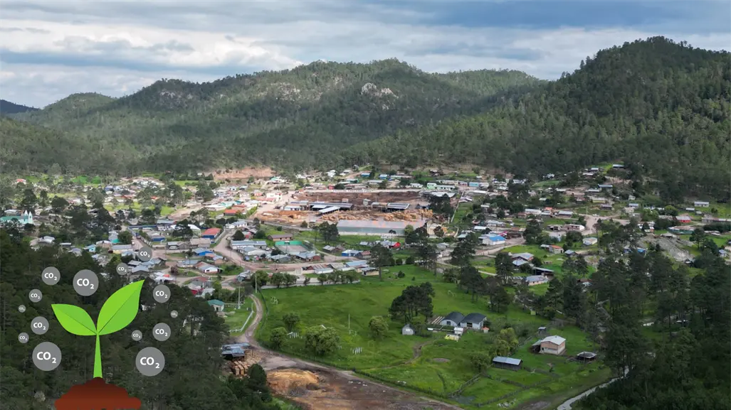 El ejido de Durango que, gracias a los bonos de carbono, construyó una clínica y varias cosas más