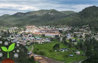 El ejido de Durango que, gracias a los bonos de carbono, construyó una clínica y varias cosas más