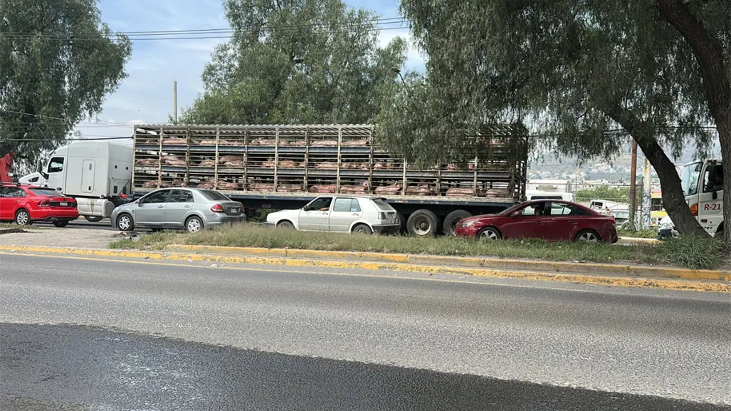 Video | Camión con puercos le quita la vida a un joven en el Edomex
