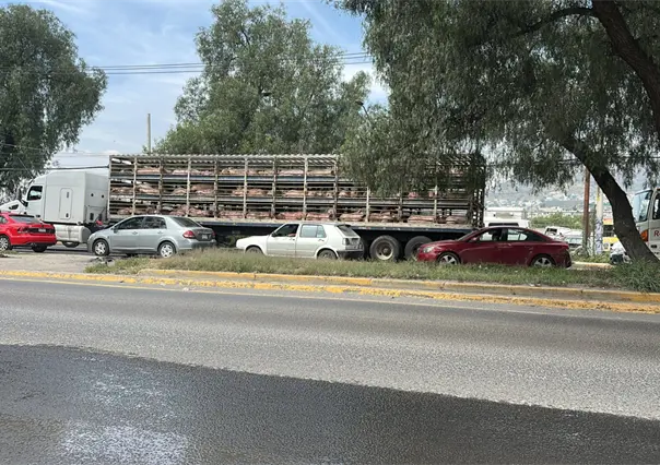 Video | Camión con puercos le quita la vida a un joven en el Edomex