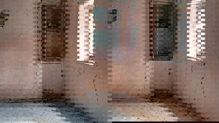 imagen-cuerpo imagen-cuerpo