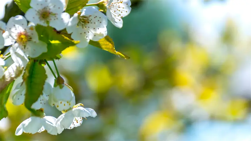 Foto: Canva.