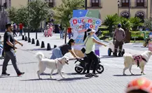 La calle de Durango en la que están las 3 plazas más importantes de la ciudad