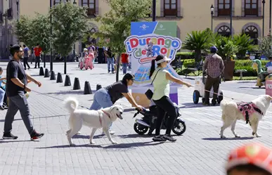 La calle de Durango en la que están las 3 plazas más importantes de la ciudad