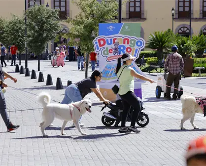 La calle de Durango en la que están las 3 plazas más importantes de la ciudad