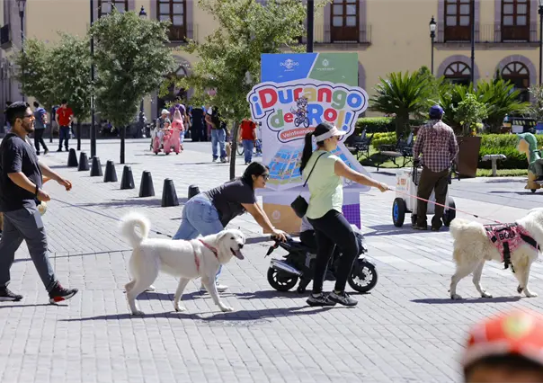 La calle de Durango en la que están las 3 plazas más importantes de la ciudad