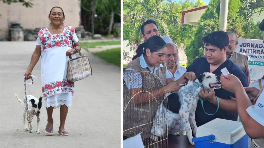 Gobierno de Yucatán impulsa esterilización y vacunas gratis a perros y gatos en municipios