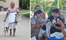Gobierno de Yucatán impulsa esterilización y vacunas gratis a perros y gatos en municipios Gobierno de Yucatán impulsa esterilización y vacunas gratis a perros y gatos en municipios