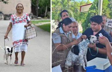 Gobierno de Yucatán impulsa esterilización y vacunas gratis a perros y gatos en municipios