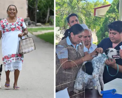 Gobierno de Yucatán impulsa esterilización y vacunas gratis a perros y gatos en municipios