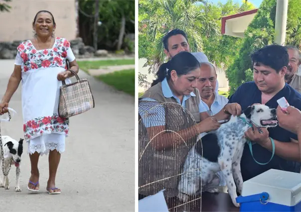 Gobierno de Yucatán impulsa esterilización y vacunas gratis a perros y gatos en municipios