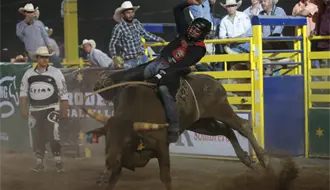 Rodeo Fest Saltillo 2025, imperdible la clausura del evento más vaquero del año