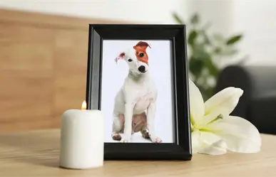 Este panteón de Durango realiza un Altar de Muertos para mascotas ¿cómo participar?