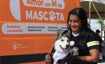 Guadalupe impulsa nuevo reglamento para proteger a los animales