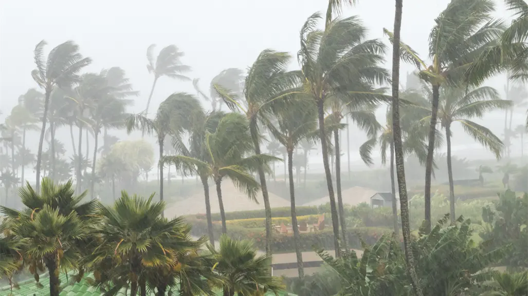 Yucatán monitorea onda tropical con riesgo de convertirse en ciclón: qué se sabe hasta ahora
