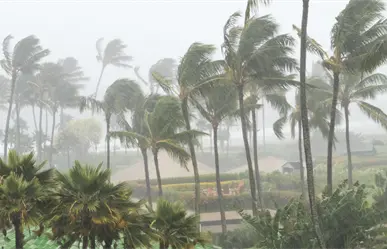 Yucatán monitorea onda tropical con riesgo de convertirse en ciclón: qué se sabe hasta ahora