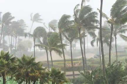 Yucatán monitorea onda tropical con riesgo de convertirse en ciclón: qué se sabe hasta ahora Yucatán monitorea onda tropical con riesgo de convertirse en ciclón: qué se sabe hasta ahora