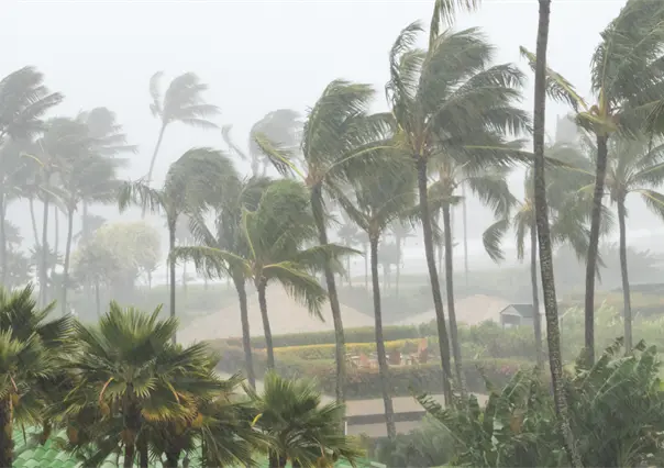 Yucatán monitorea onda tropical con riesgo de convertirse en ciclón: qué se sabe hasta ahora