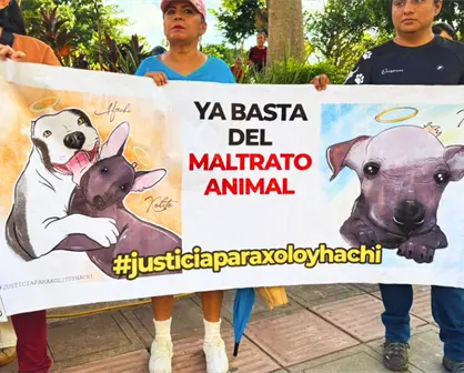 Maltrato animal en Mérida: activistas protestan por el caso de la perrita Sicilia