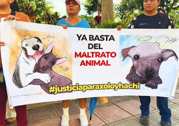 Maltrato animal en Mérida: activistas protestan por el caso de la perrita Sicilia