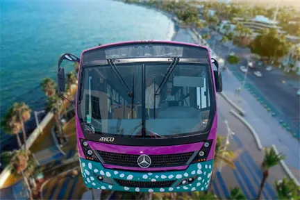 Así funcionará el nuevo organismo operador del Transporte público en La Paz Así funcionará el nuevo organismo operador del Transporte público en La Paz