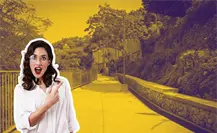 Camino peatonal Los Reyes, ¿cuánto mide este paso lineal de Monterrey?