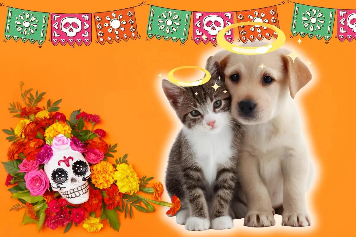 Esta festividad reverencia a los que se han ido y también permite recordar a nuestros amados animales que han partido. Foto: Canva