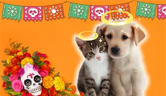 Día de Muertos 2025: ¿Cuándo se hace la ofrenda para honrar a nuestras mascotas?