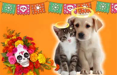 Día de Muertos 2025: ¿Cuándo se hace la ofrenda para honrar a nuestras mascotas?