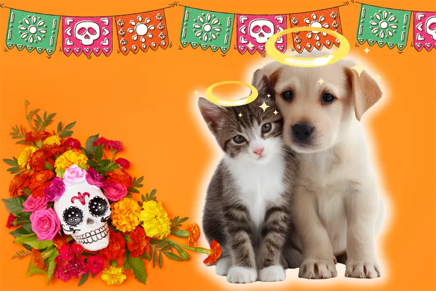 Día de Muertos 2025: ¿Cuándo se hace la ofrenda para honrar a nuestras mascotas?