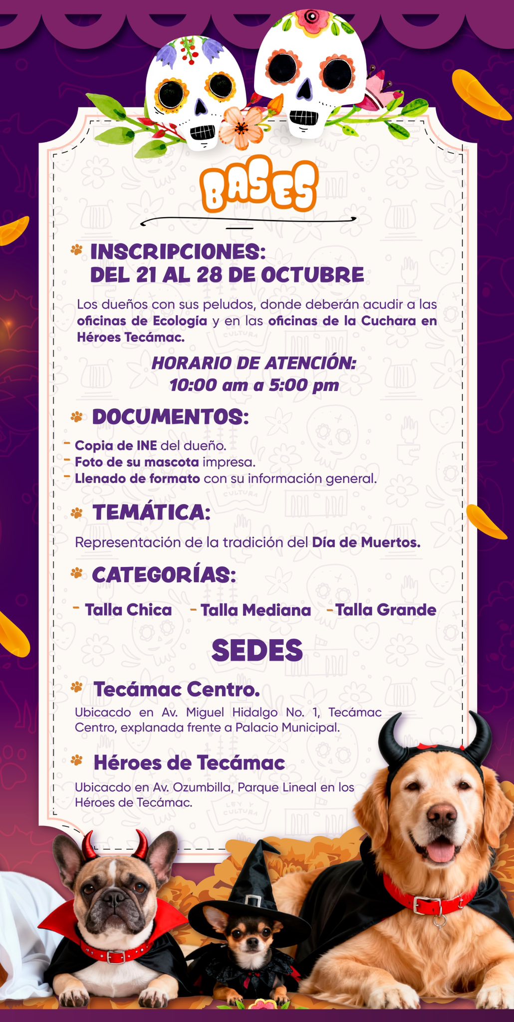 imagen-cuerpo