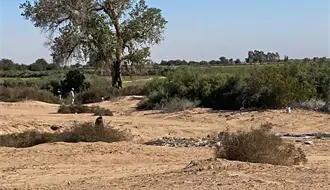 Colectivo de búsqueda halla nuevas fosas clandestinas en Reynosa