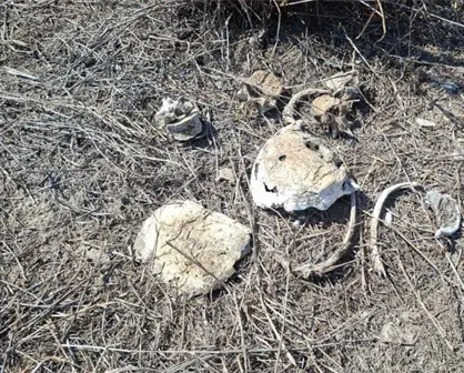 Colectivo de búsqueda halla nuevas fosas clandestinas en Reynosa