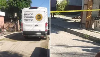 Nuevo caso de maltrato animal en Yucatán: le quitan la vida a un perrito a balazos