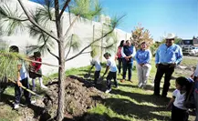 ¿Qué son los microbosques y cómo los impulsa el Gobierno de Toño Ochoa?