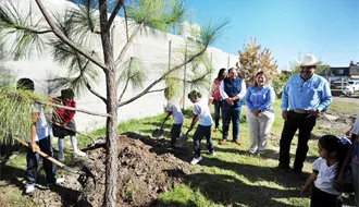 ¿Qué son los microbosques y cómo los impulsa el Gobierno de Toño Ochoa?