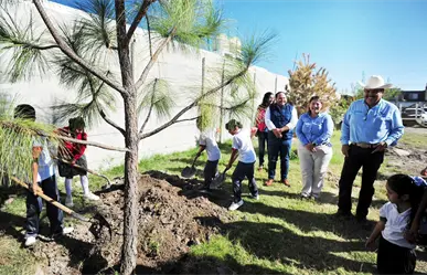 ¿Qué son los microbosques y cómo los impulsa el Gobierno de Toño Ochoa?