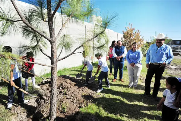 ¿Qué son los microbosques y cómo los impulsa el Gobierno de Toño Ochoa?