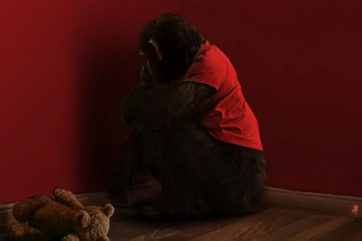 Primate se estrena en cines en enero de 2026. FOTO: CANVA/Paramount Pictures