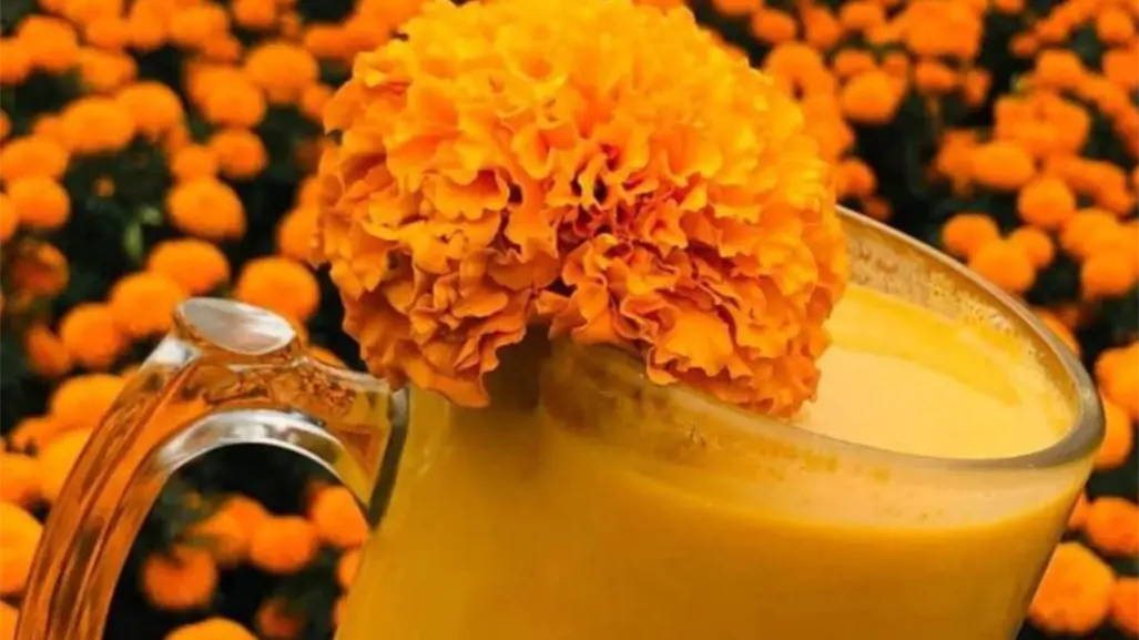 Este municipio del Edomex conquista con su pulque de cempasúchil en Día de Muertos