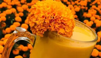 Este municipio del Edomex conquista con su pulque de cempasúchil en Día de Muertos