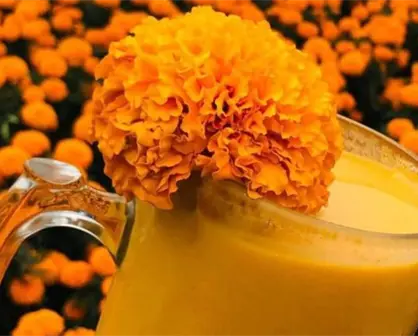 Este municipio del Edomex conquista con su pulque de cempasúchil en Día de Muertos