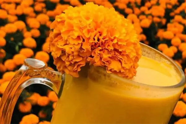 Este municipio del Edomex conquista con su pulque de cempasúchil en Día de Muertos