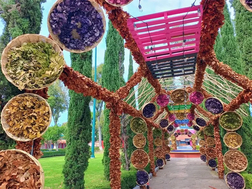 Foto: Gobierno de Tlaxcala.