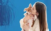 Acude con tu mascota a la Feria de Bienestar Animal organizada por Monterrey